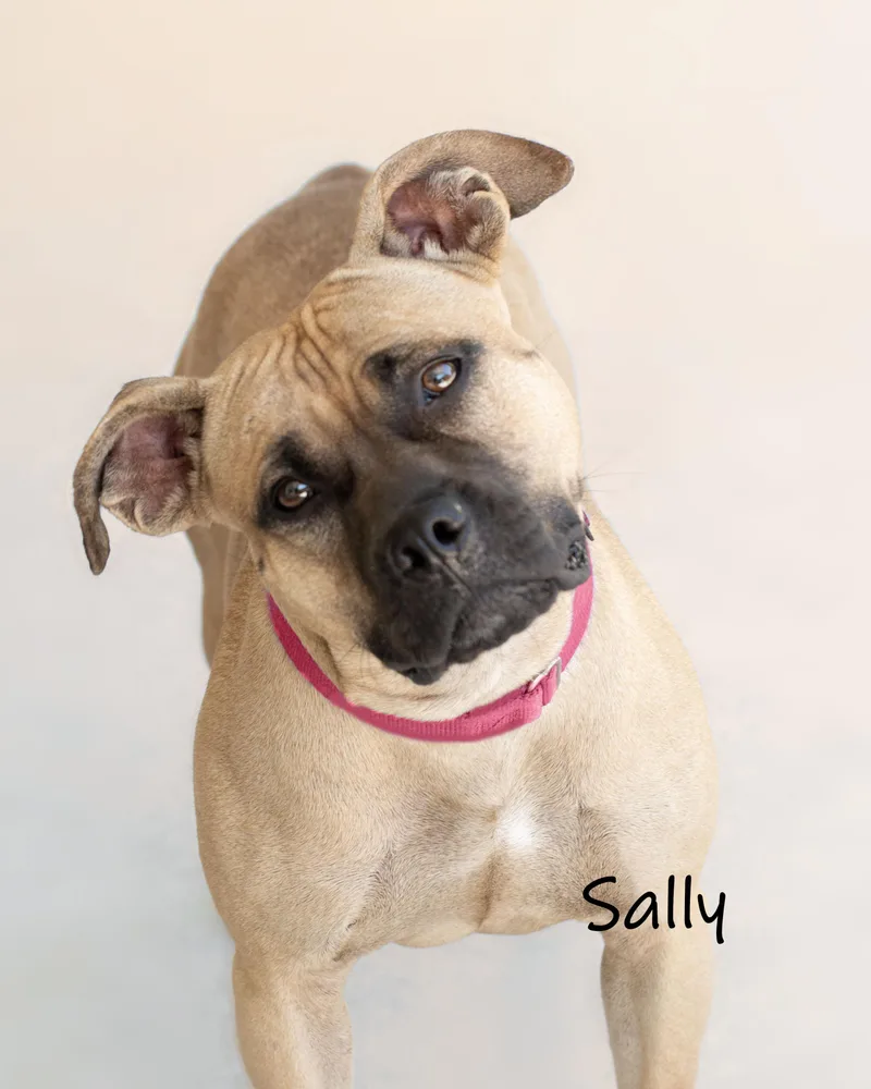 Sally thumbnail 5