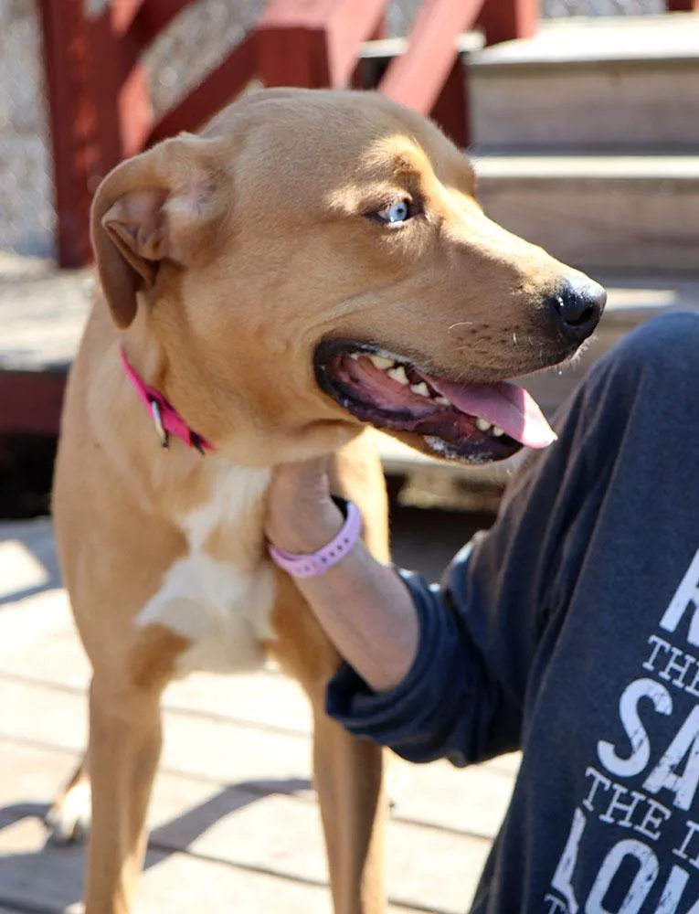 Vanelope thumbnail 2