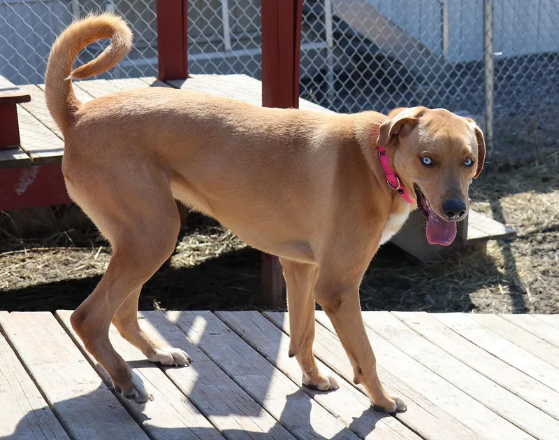 Vanelope thumbnail 5