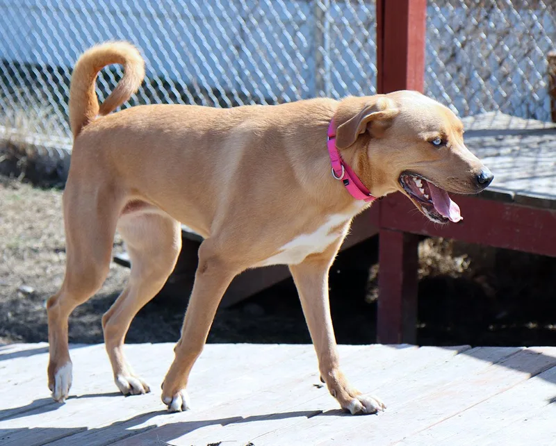 Vanelope thumbnail 6