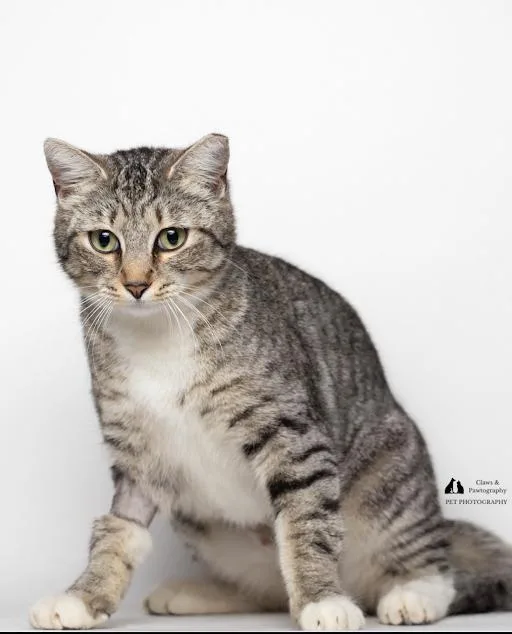 Bk @ Fat Cat thumbnail 2