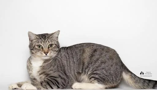 Bk @ Fat Cat thumbnail 3