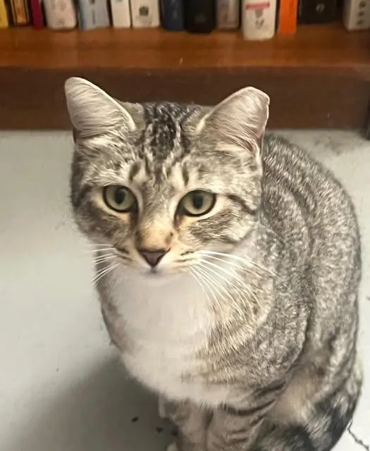 Bk @ Fat Cat thumbnail 4