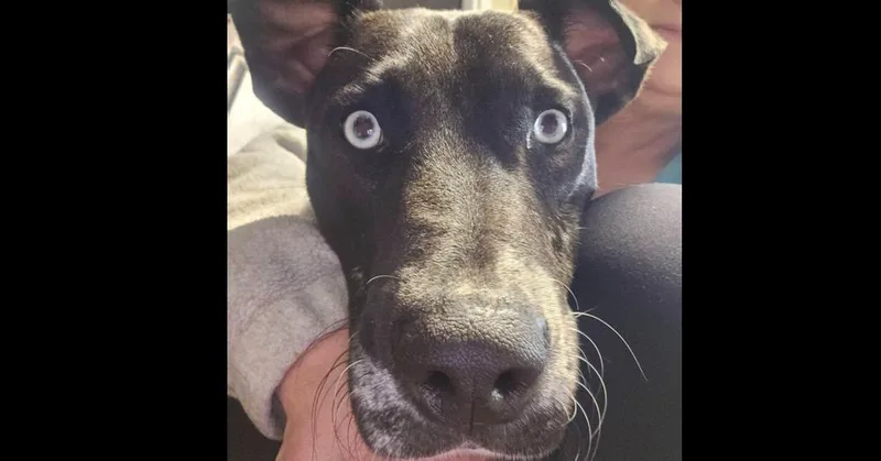 Kevin Bacon thumbnail 2