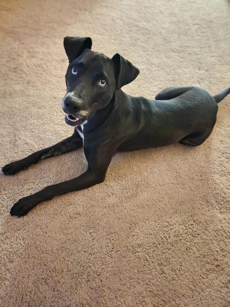 Kevin Bacon thumbnail 3