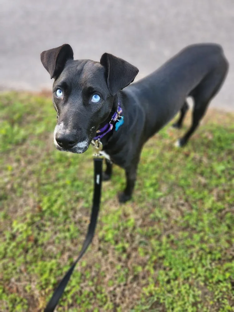 Kevin Bacon thumbnail 4