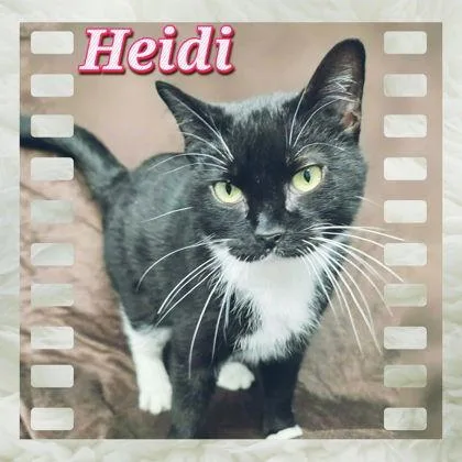 Heidi thumbnail 2