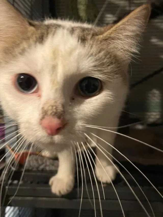 Marbles thumbnail 3