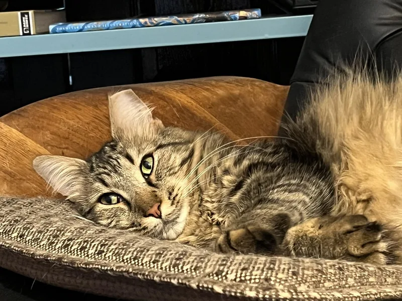 Poot James thumbnail 2