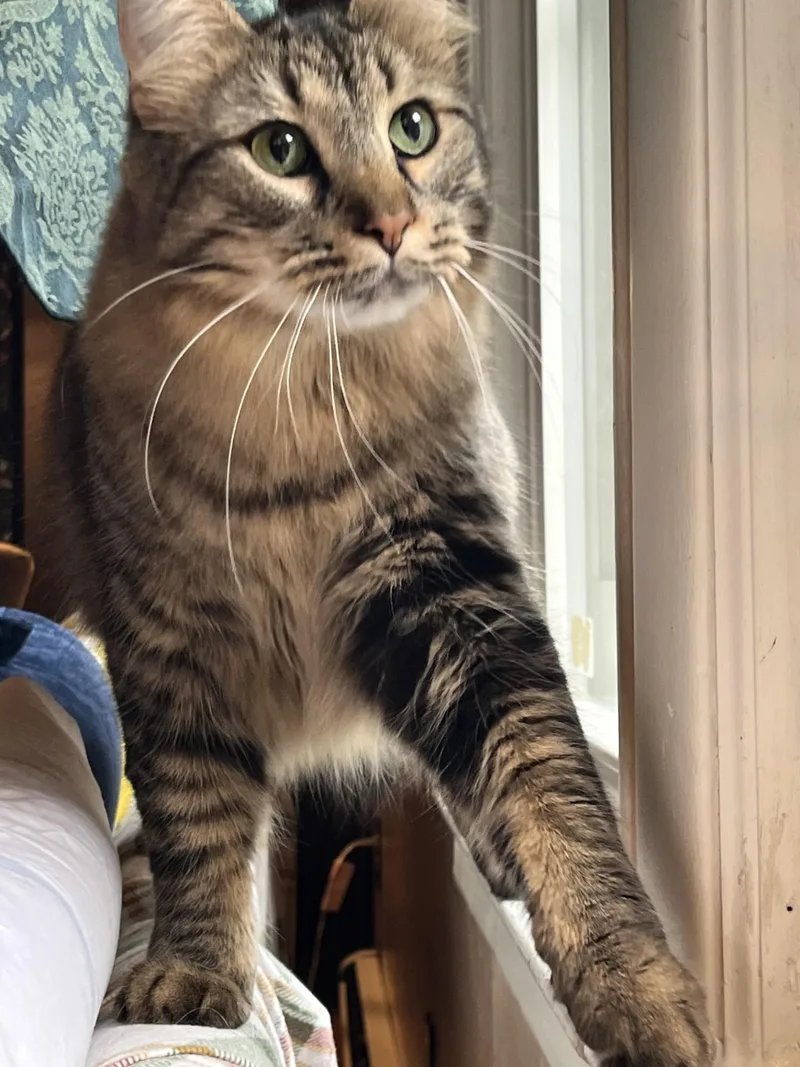 Poot James thumbnail 3