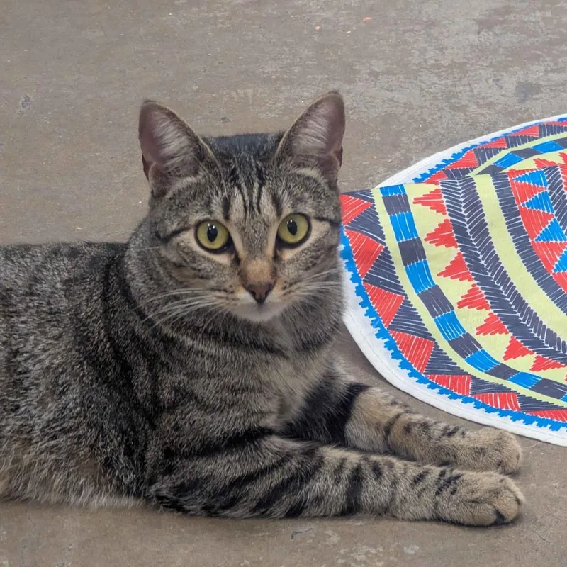 Francine Smith thumbnail 2