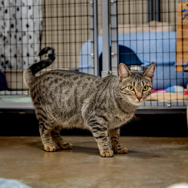 Francine Smith thumbnail 4