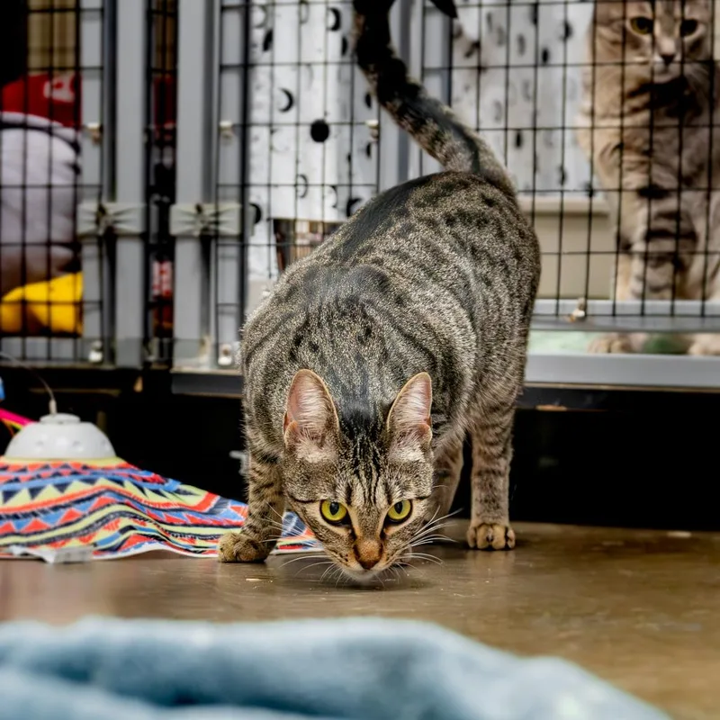 Francine Smith thumbnail 5