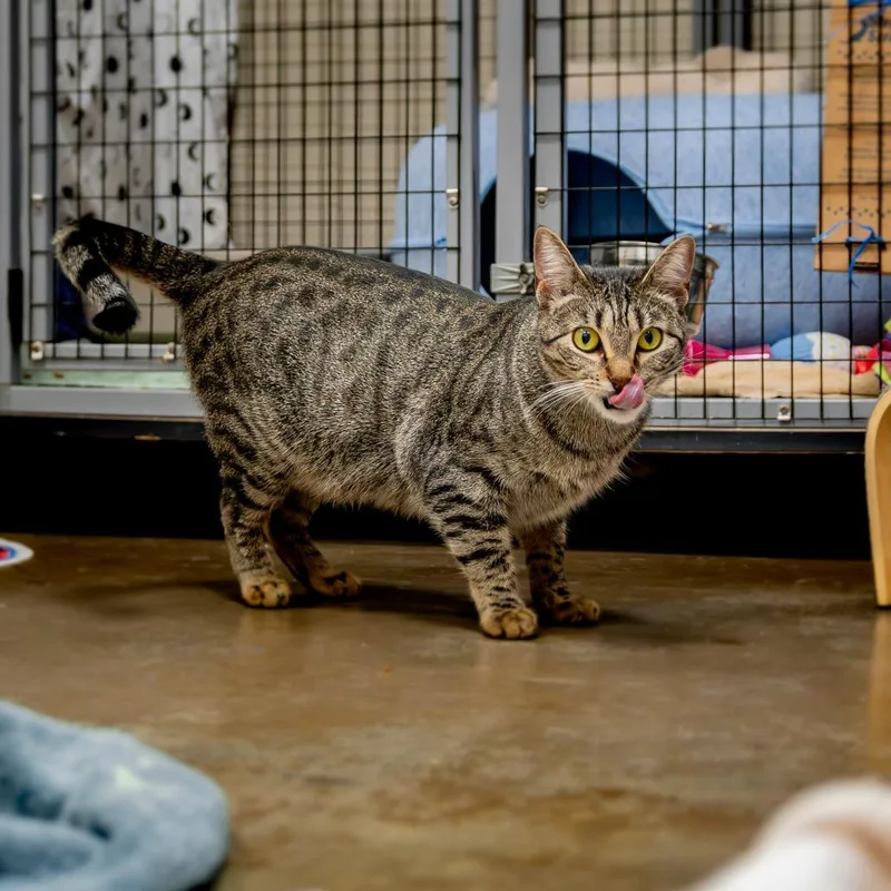 Francine Smith thumbnail 6