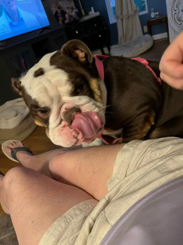 Tater thumbnail 2