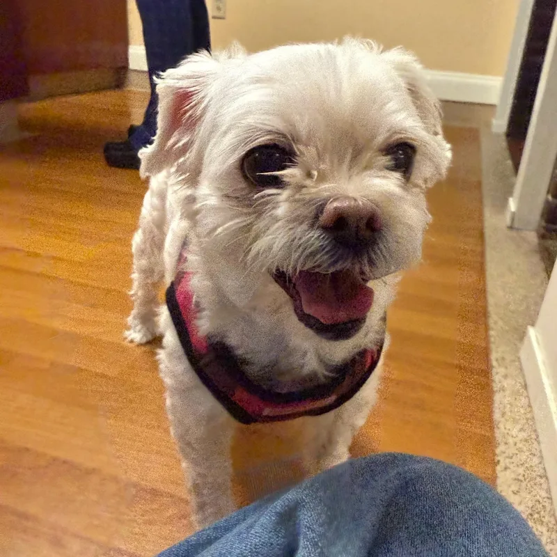 Zoey thumbnail 5
