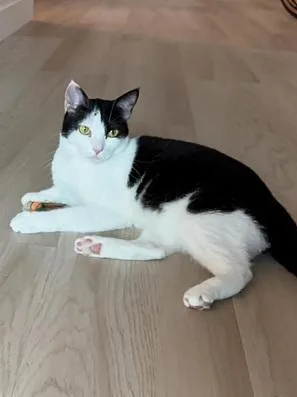 Gigi thumbnail 6