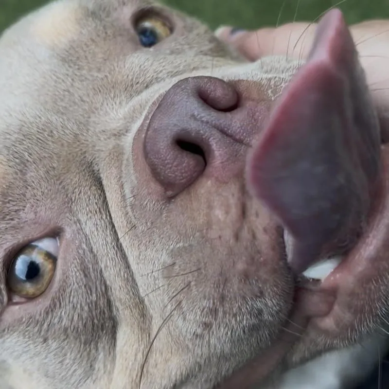 Namari thumbnail 2