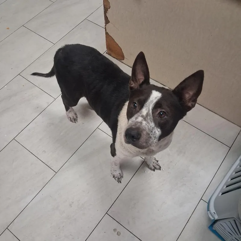 Ethel
