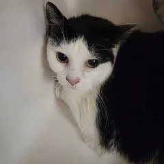 IsabellaAKA Bella thumbnail 4