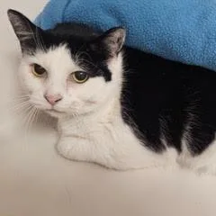 IsabellaAKA Bella thumbnail 5