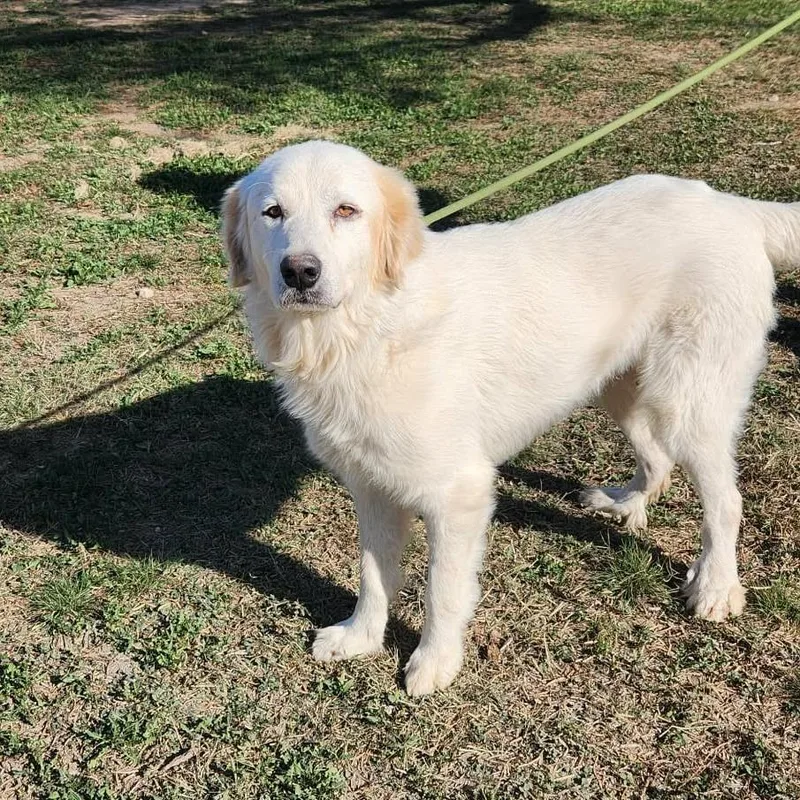 Apollo Jum thumbnail 5