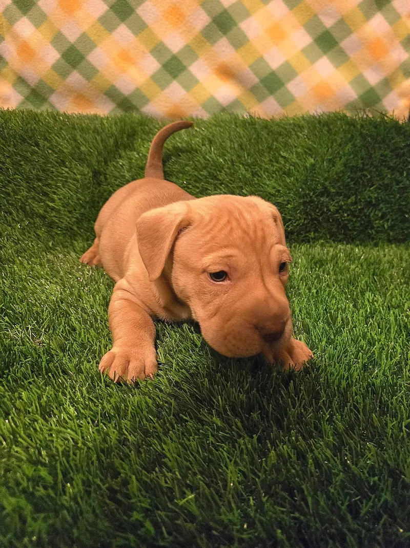 Iron Man thumbnail 2