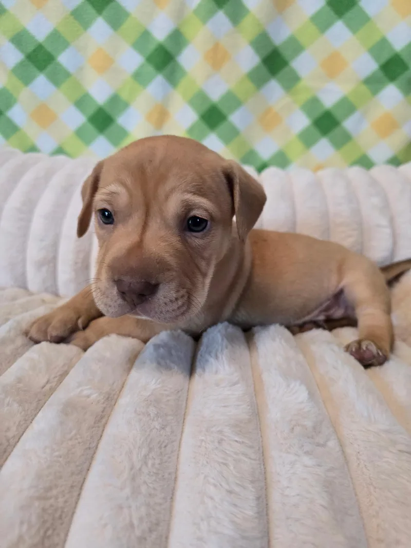 Iron Man thumbnail 3