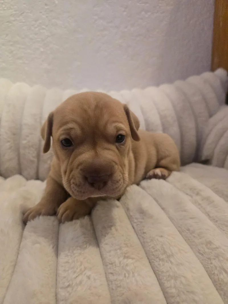 Iron Man thumbnail 6