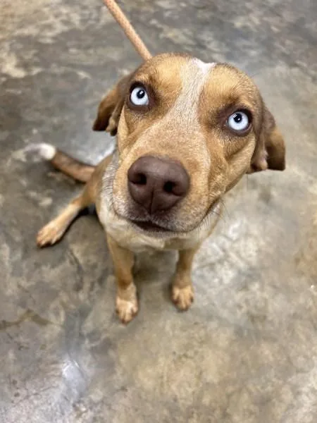 Valentine thumbnail 4