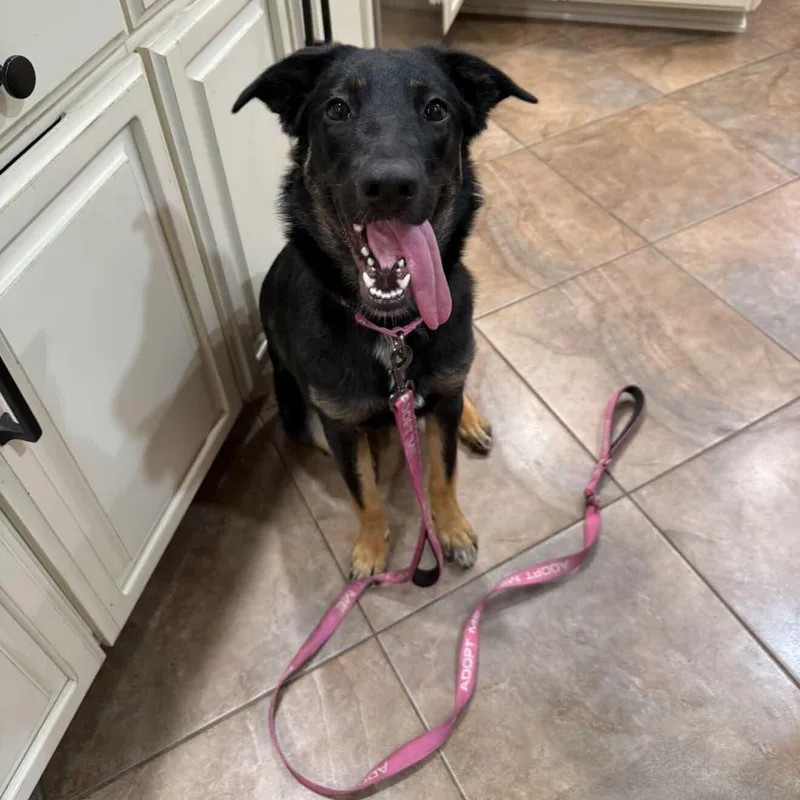 Roxy~ Petite & Cat thumbnail 2