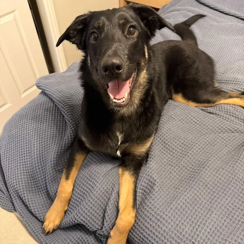 Roxy~ Petite & Cat thumbnail 5