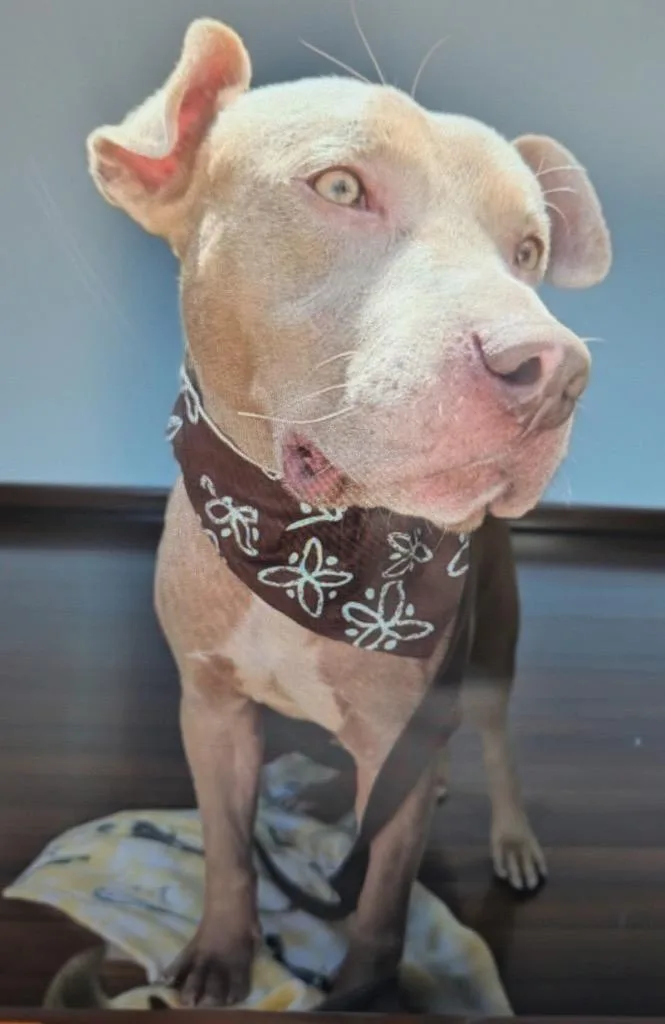 Georgefriendly  Sweet Boy! thumbnail 6