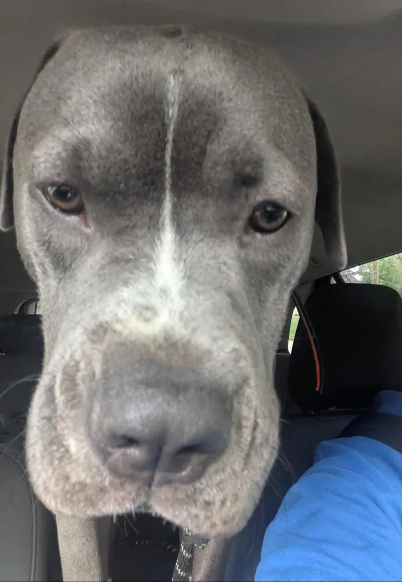 Raven Courtesy Listing thumbnail 5