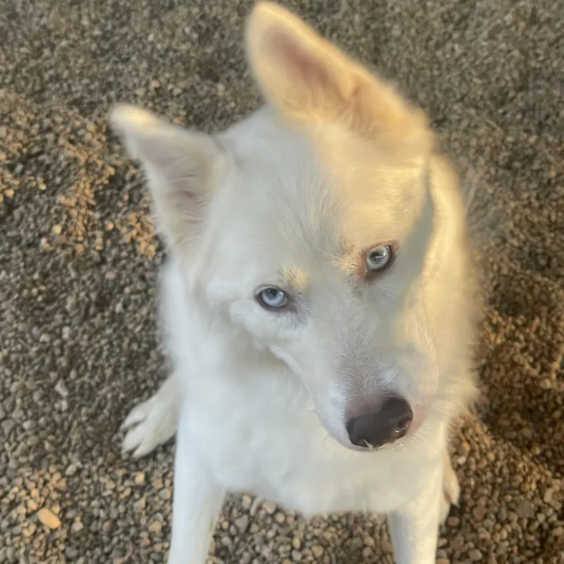 Jax