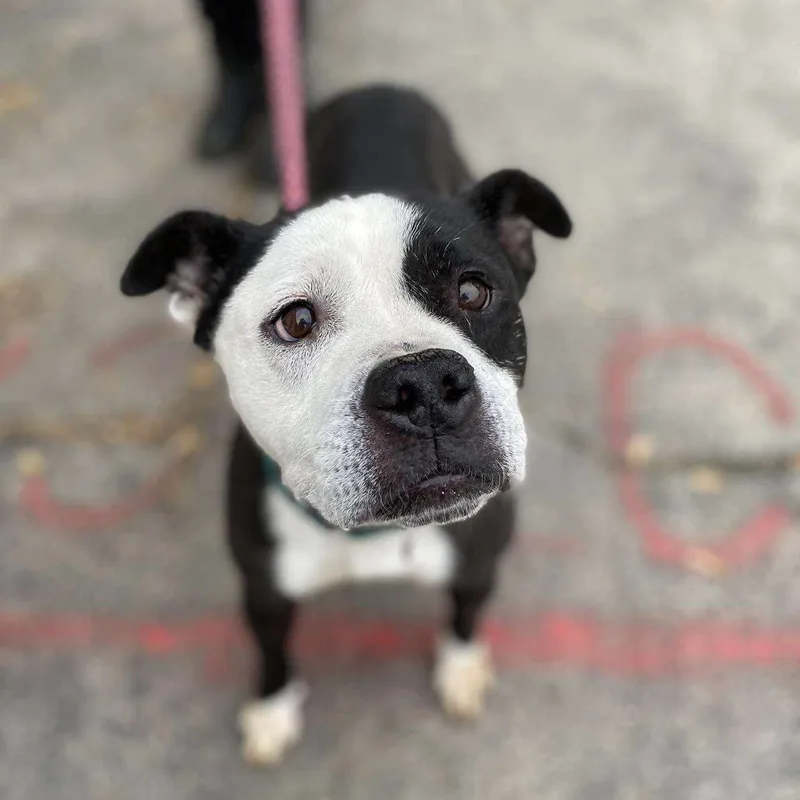 Vivianne thumbnail 5