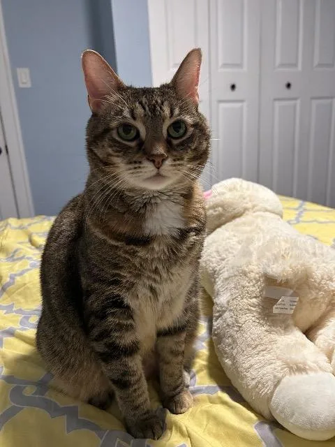 Genealogy thumbnail 3