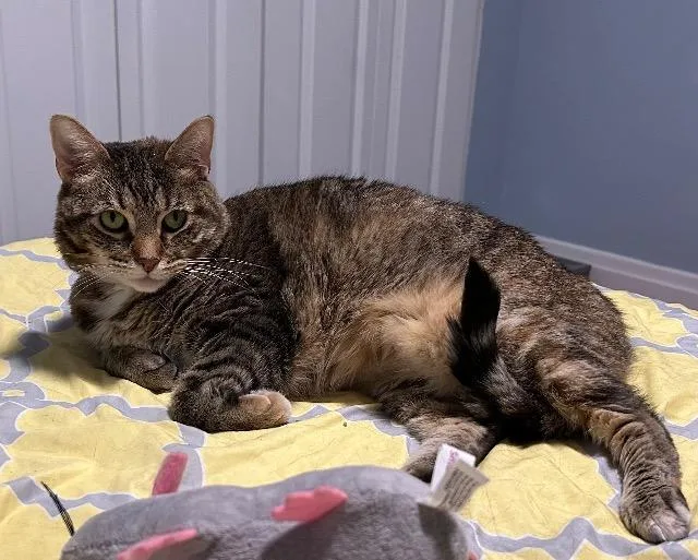 Genealogy thumbnail 5