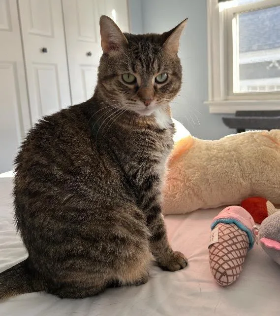 Genealogy thumbnail 6