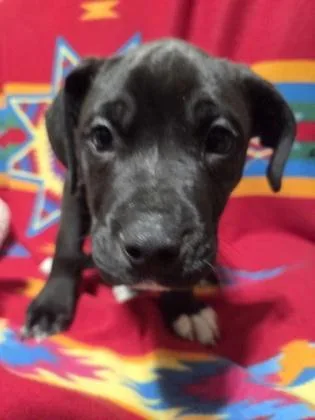 Jordan Love thumbnail 2