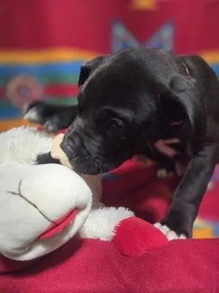 Jordan Love thumbnail 3