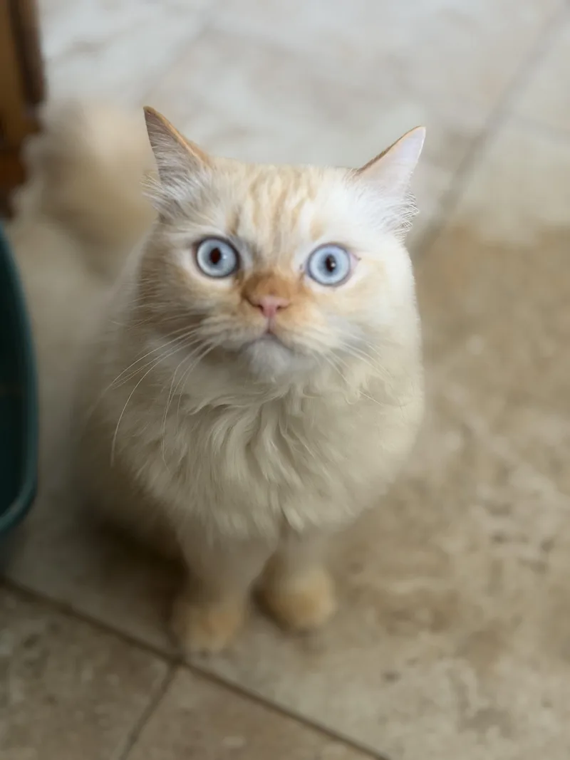 Ramo!!!🧡 thumbnail 6