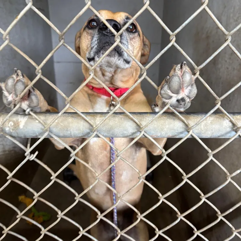 Sadie Lee thumbnail 2