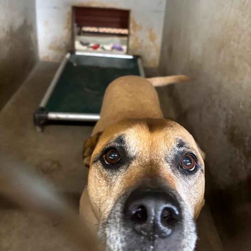 Sadie Lee thumbnail 3