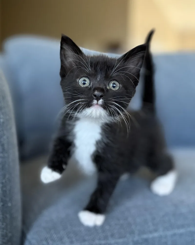 Hurricane thumbnail 3