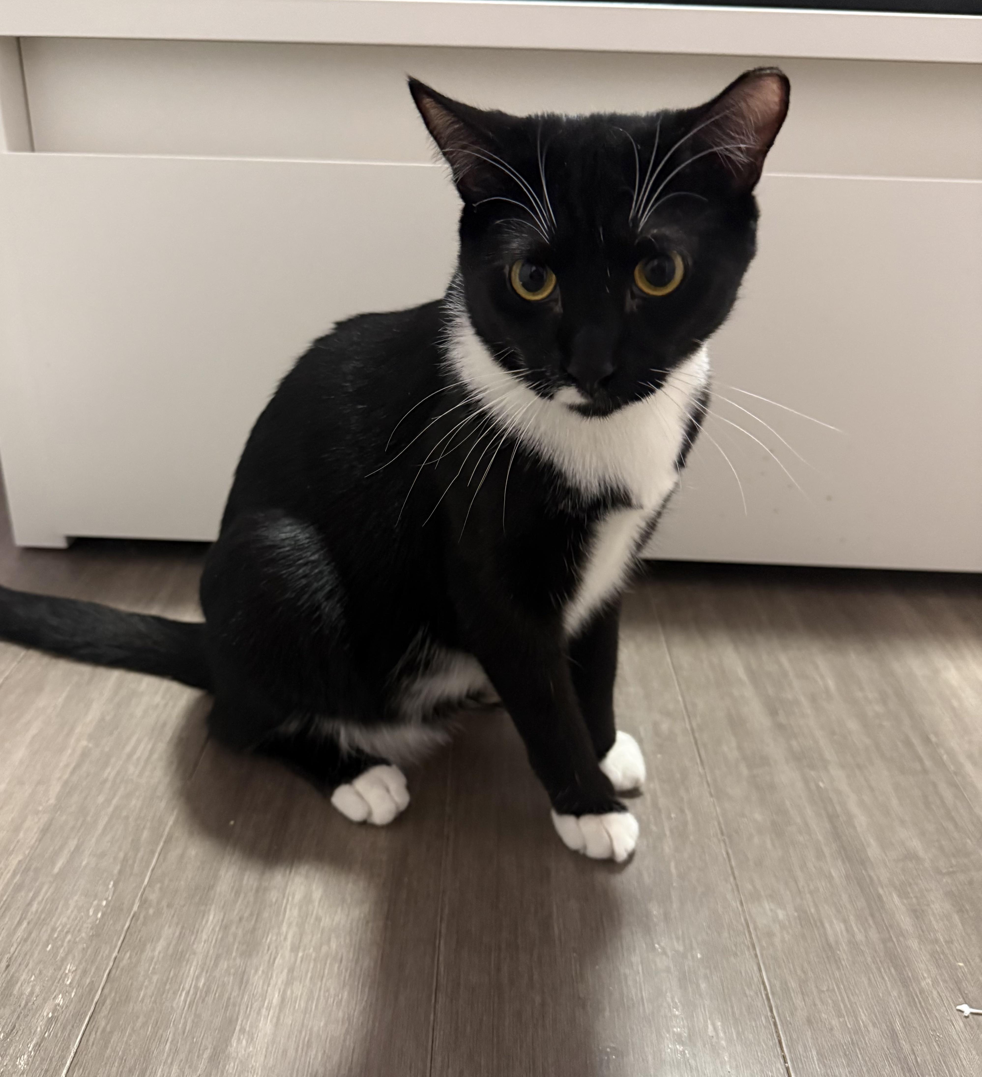 Cedar & Cypress N. thumbnail 3