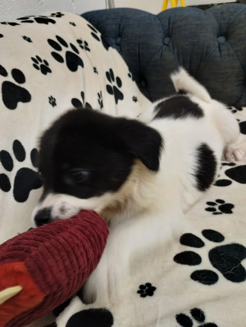 Katie thumbnail 2