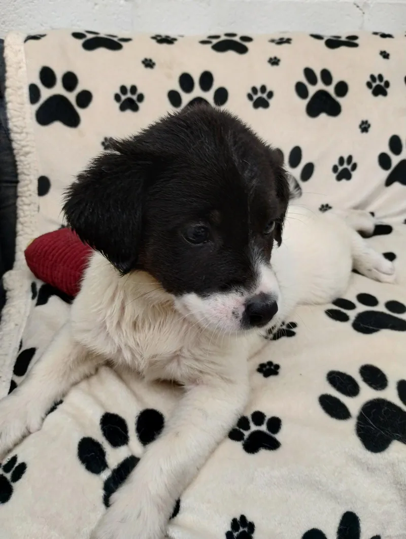 Katie thumbnail 3