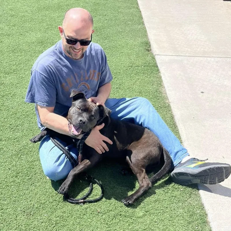 Mr. Wiggins thumbnail 2