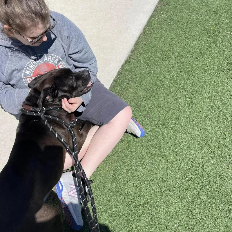 Mr. Wiggins thumbnail 3